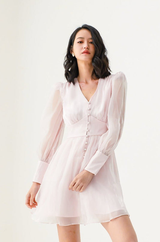 Evangelina Light Pink Silk Dress - Nimisski