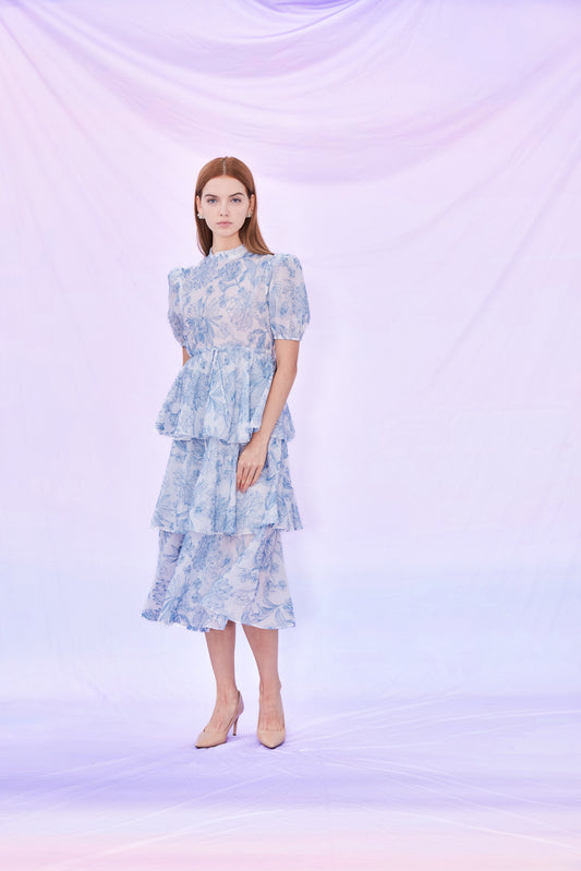 Frances Tier Long Dress