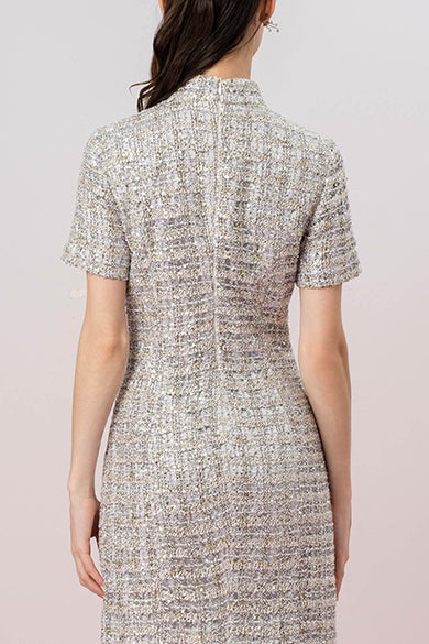 Jaimie Silver Sequin Cheongsam Dress