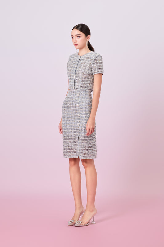 Jaklyn Silver Sequins Pencil Skirt